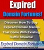Thumbnail Expired Domain Fortunes