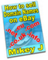 Thumbnail How to Sell Domain Names On eBay