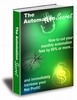 Thumbnail The Automation Secret