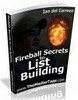Thumbnail Fireball Secrets to List Building