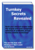 Thumbnail Turnkey Secrets Revealed