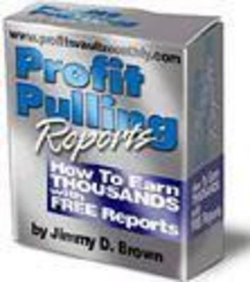 Product picture Profit Pulling Reports