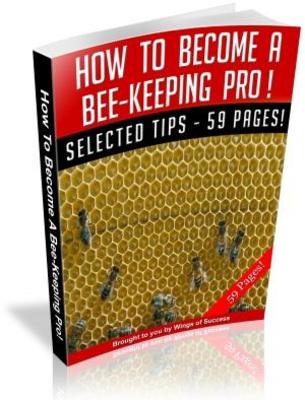 Product picture How To Become A Bee-Keeping Pro