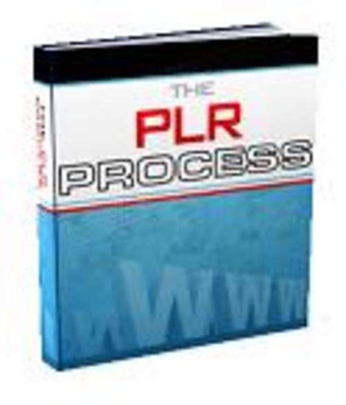Product picture The PLR Process