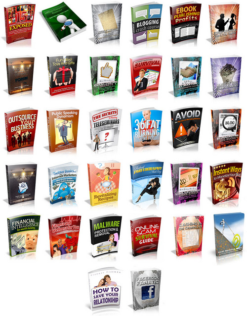 Product picture The PLR Insights Collection