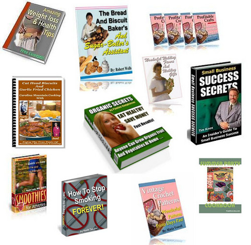 Product picture The Niche Product Power Pack