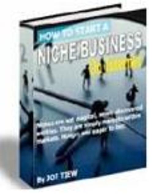 Product picture Start a Niche Business On The Internet