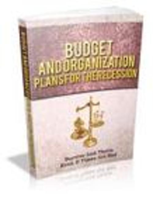 Product picture Budget And Organization Plans For The Recession
