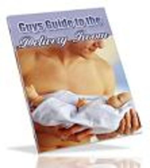 Product picture A Guys Guide to the Delivery Room