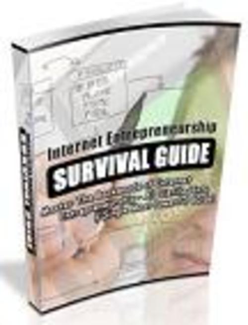 Product picture Internet Entrepreneurship Survival Guide