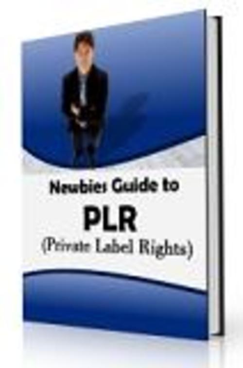 Product picture Newbies Guide To PLR
