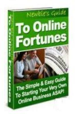 Product picture Newbies Guide To Online Fortunes